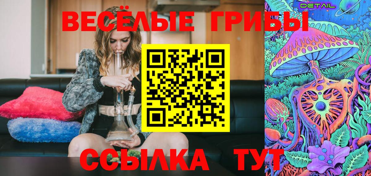 Псилоцибиновые грибы Cubensis Камышлов